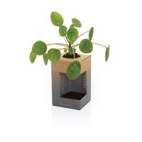 TAZZA TERMICA IN ACCIAIO RICICLATO 300 ML